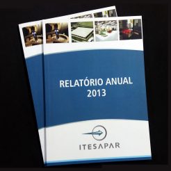 ITESAPAR – Relatório Anual 2013
