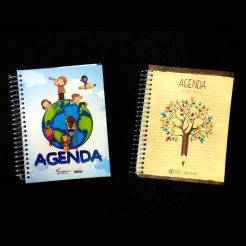 Agendas